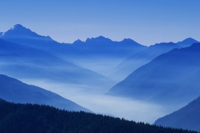 世界杯与难民球员：那一身球衣背后的迁徙与归属感。，世界杯球迷