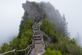 世界短道速滑训练营导师教学视频付费章节开放，世界短道速滑强国